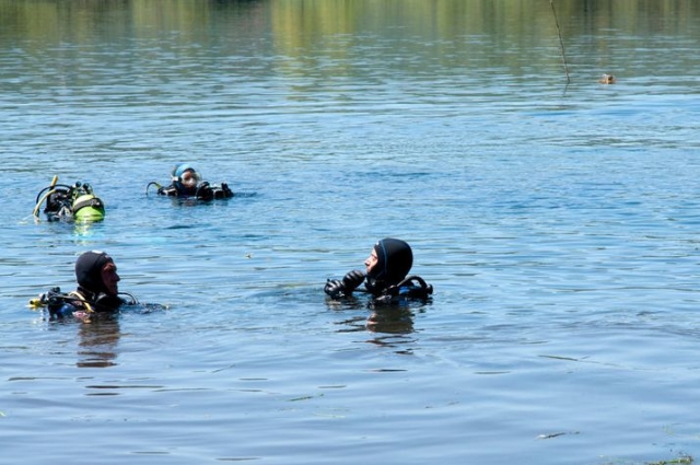  Diving in the lake 